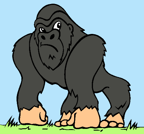 Dibujo Gorila pintado por guillerm