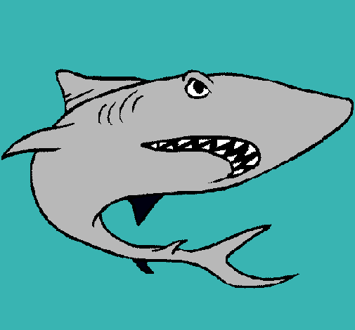 Dibujo Tiburón pintado por isai 