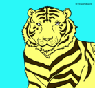 Dibujo Tigre pintado por fran1