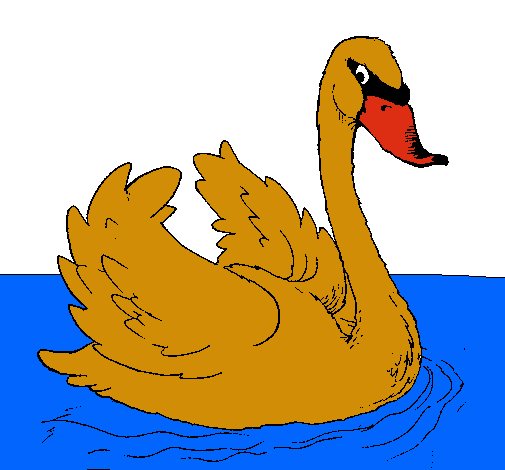 Cisne en el agua