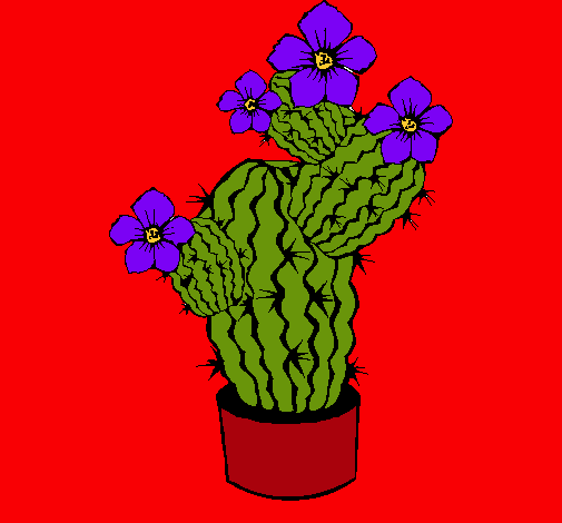 Flores de cactus