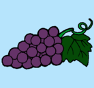 Dibujo racimo pintado por UVAS