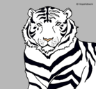 Dibujo Tigre pintado por isai 