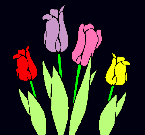 Tulipanes