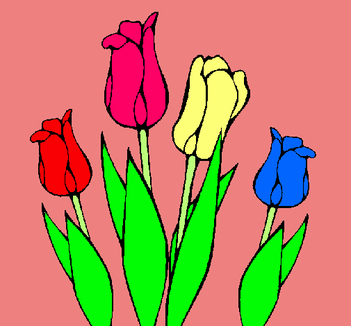 Tulipanes