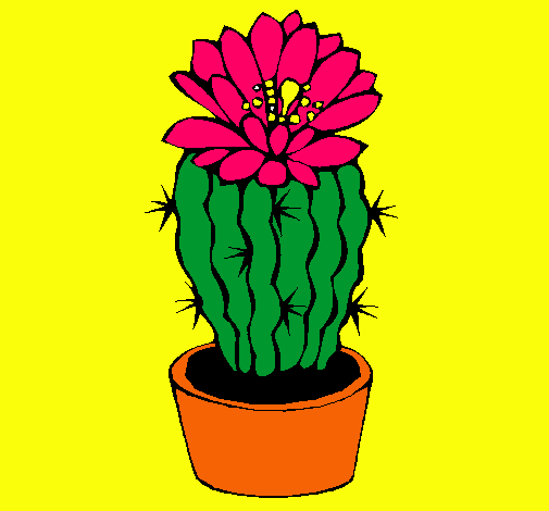 Cactus con flor