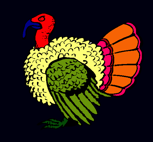 Pavo 