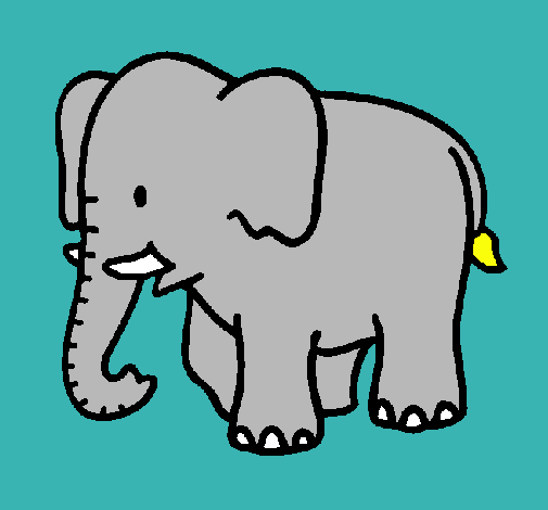 Elefante bebe