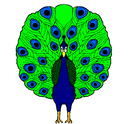 Pavo real