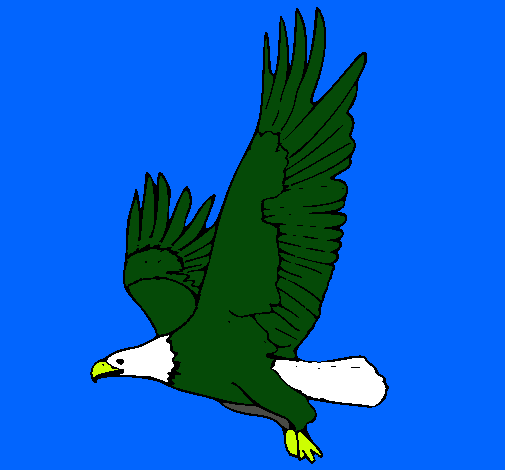 Águila volando