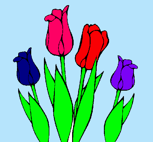 Tulipanes