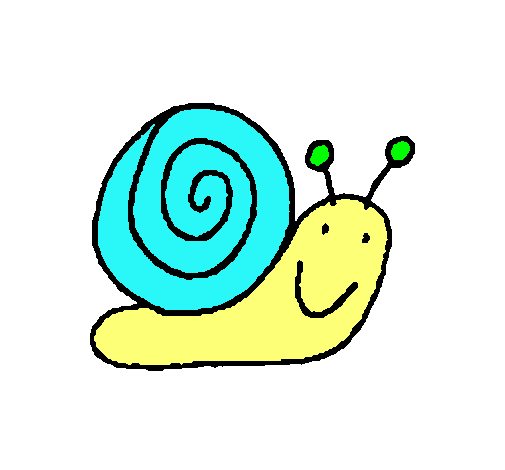 Caracol 4