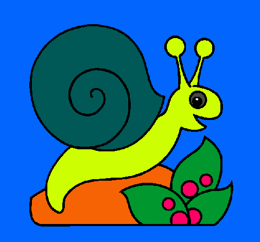 Caracol