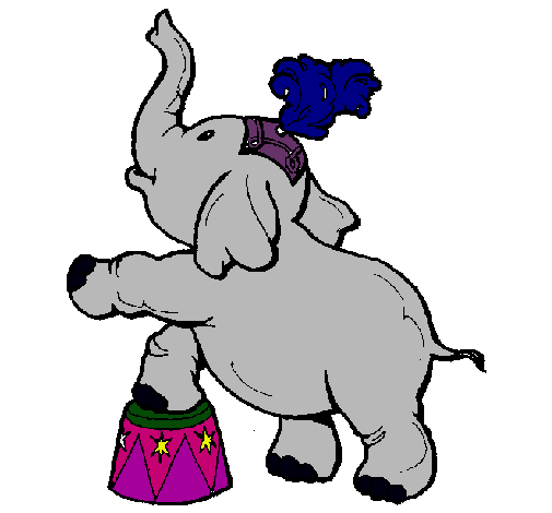 Elefante