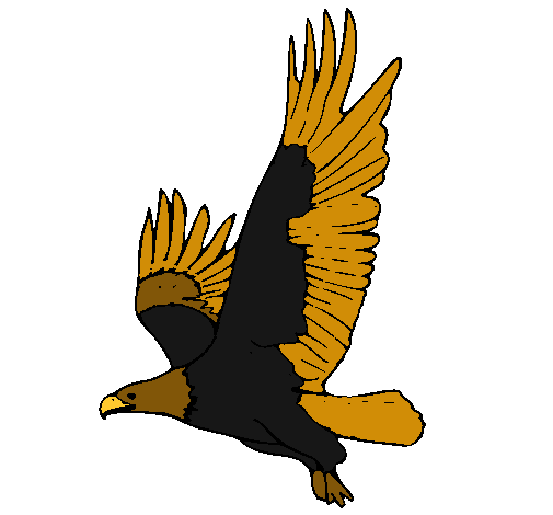 Águila volando