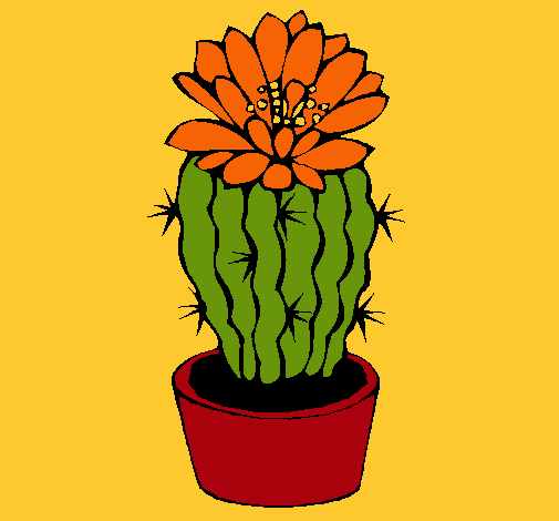 Cactus con flor