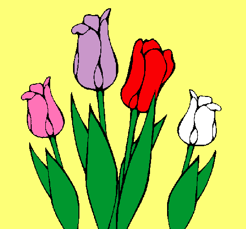 Tulipanes