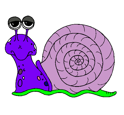 Caracol