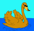 Dibujo Cisne en el agua pintado por nico8