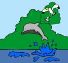 Dibujo Delfín y gaviota pintado por nnapaty