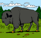 Dibujo Búfalo  pintado por LUTY