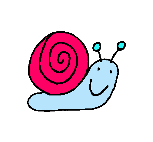 Caracol 4