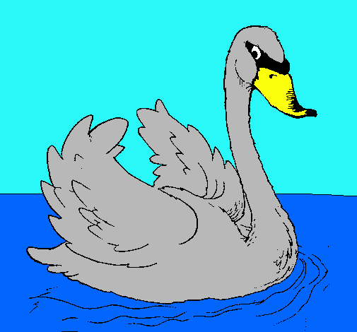 Cisne en el agua