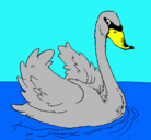 Dibujo Cisne en el agua pintado por maria20