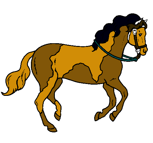 Caballo 5