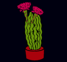 Dibujo Cactus con flores pintado por 1004