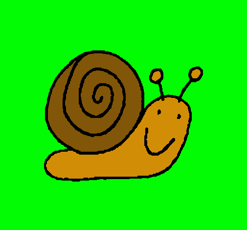 Caracol 4