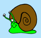 Dibujo Caracol  pintado por camiluchi