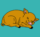 Dibujo Cerdo durmiendo pintado por tamra