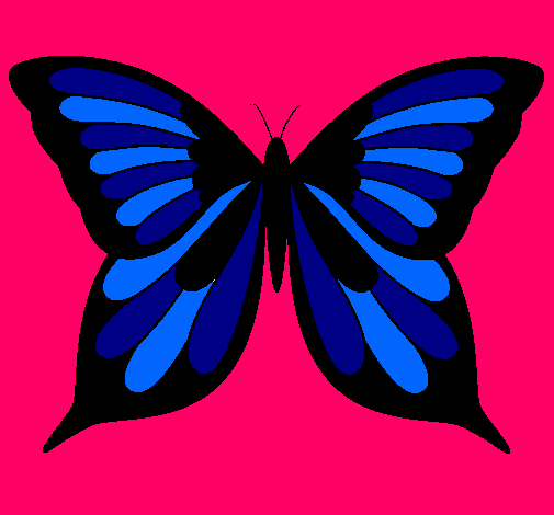 Mariposa 8