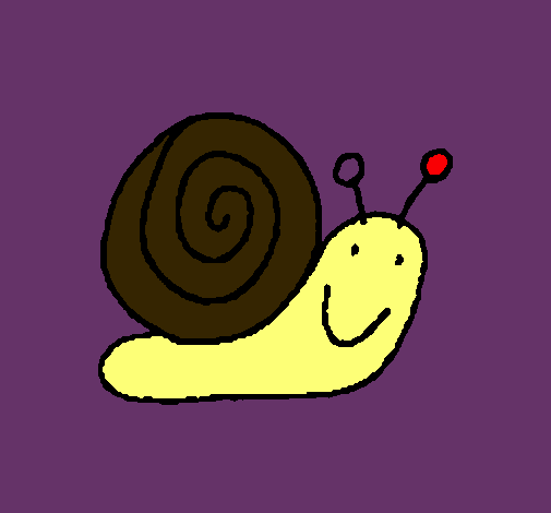 Caracol 4