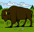 Dibujo Búfalo  pintado por bisonte 