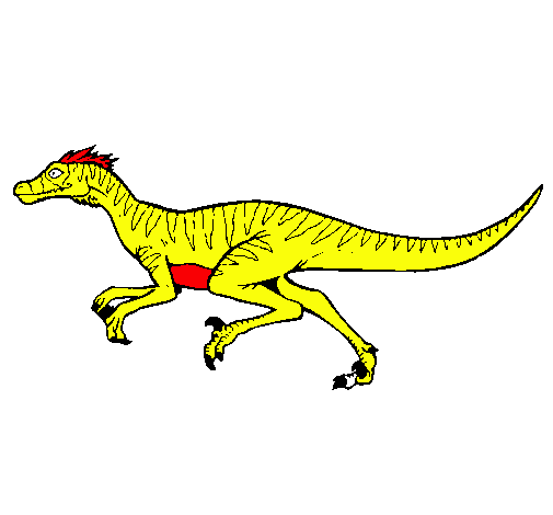 Velociraptor