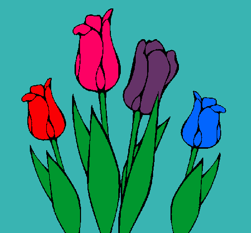 Tulipanes