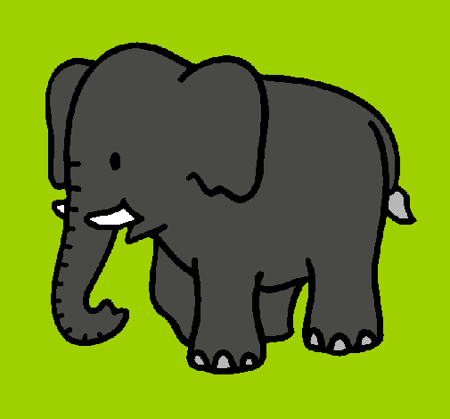 Elefante bebe