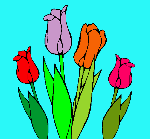 Tulipanes