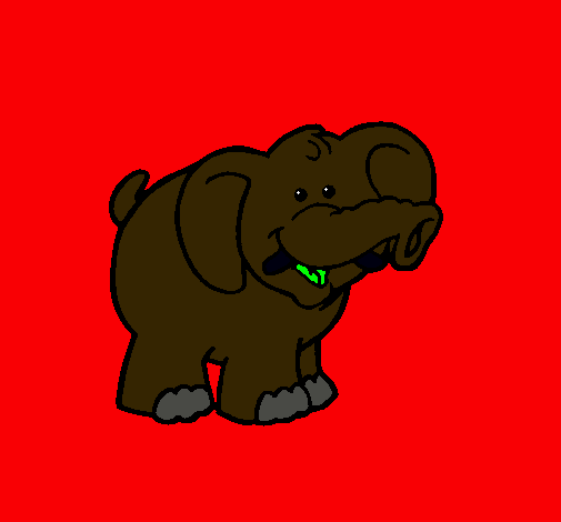 Elefante