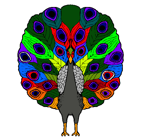 Pavo real