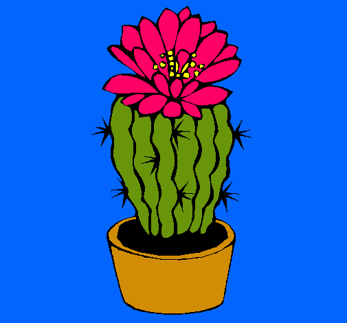 Cactus con flor