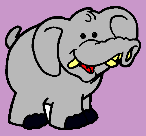 Elefante