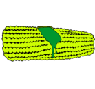 Dibujo Mazorca de maíz pintado por maikol