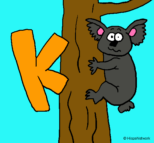 Koala