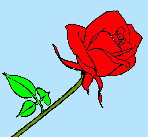 Dibujo Rosa pintado por mahdiak
