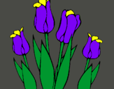 Dibujo Tulipanes pintado por lurdes22