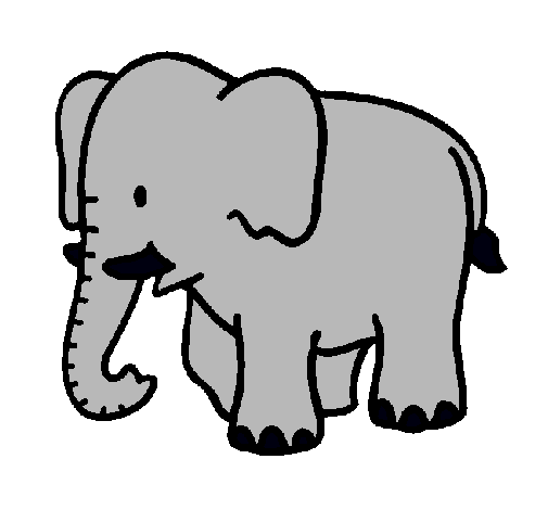 Elefante bebe