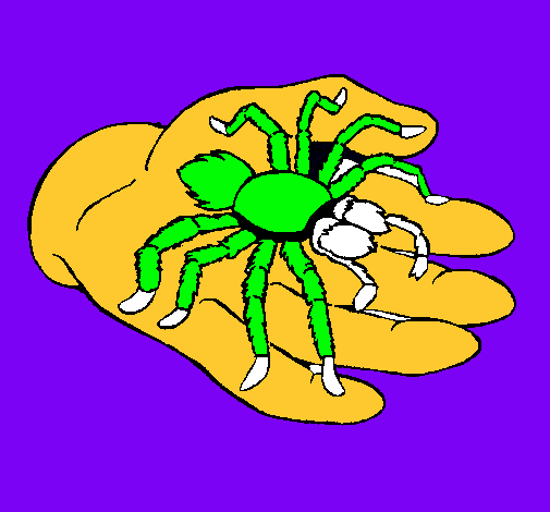 Tarántula